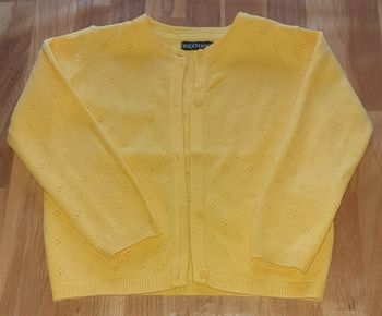 Gilet jaune In Extenso 86 cm