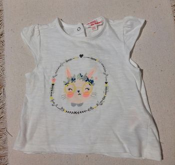 Tshirt lapin du pareil au même 6 mois