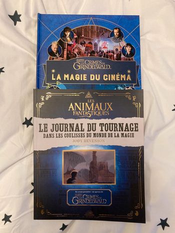 Lot de 2 livres sur les films les animaux fantastiques
