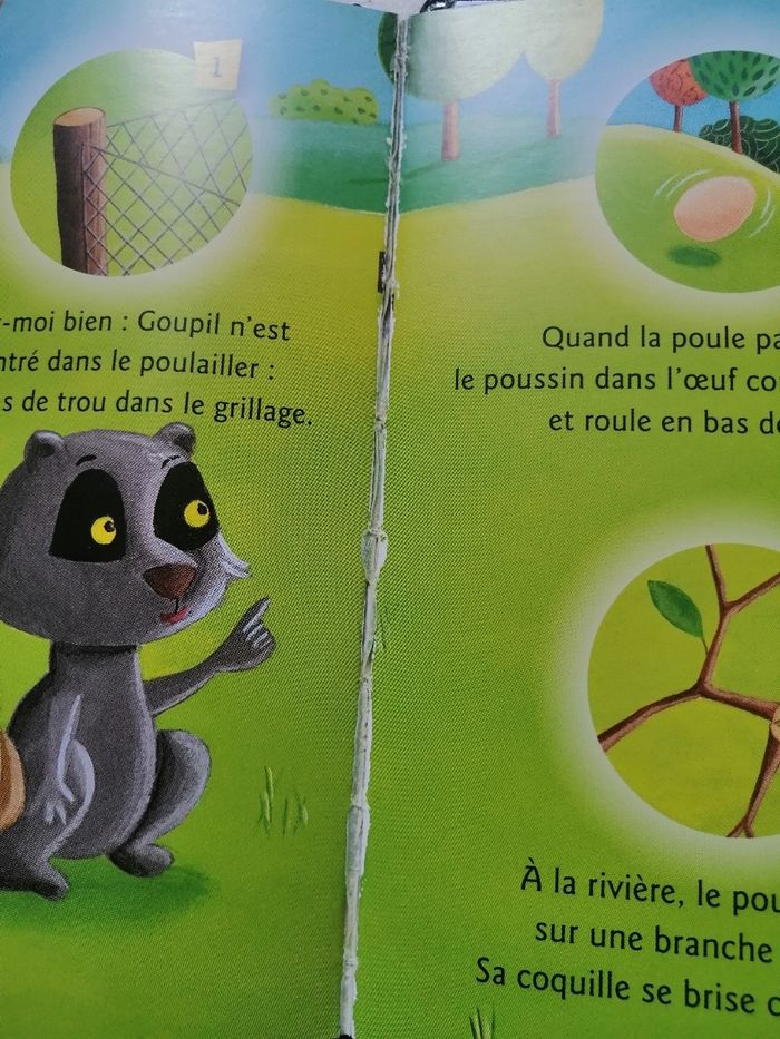 Livre un œuf disparaît - photo numéro 9