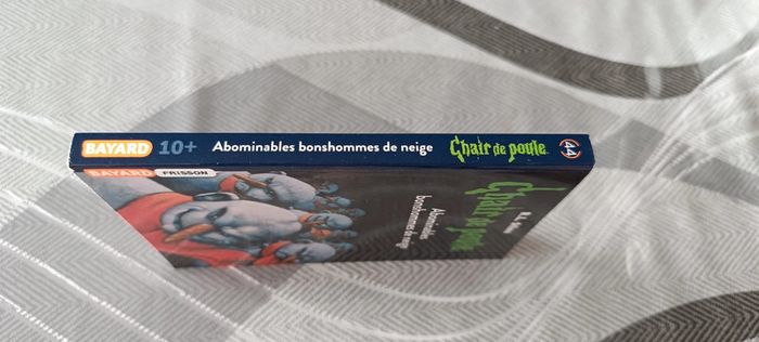 Livre chair de poule - photo numéro 3