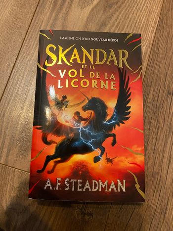 Livre Skandar et le vol de la licorne 