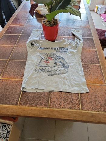 Tee shirt manche longue