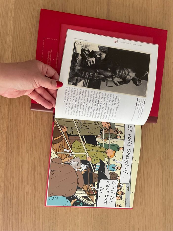 🌟 BD TINTIN - photo numéro 4
