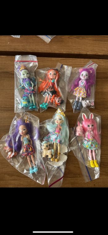 Lot de 6 poupées Enchantimals avec accessoires
