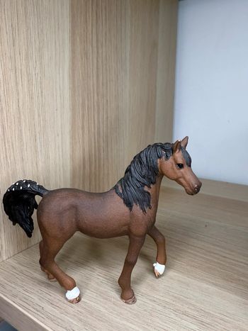 Étalon arabe schleich