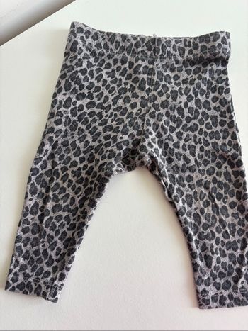 Legging