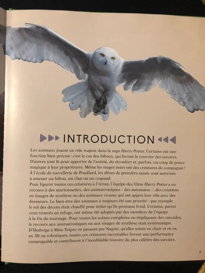 Livre Harry Potter Hedwige - photo numéro 3