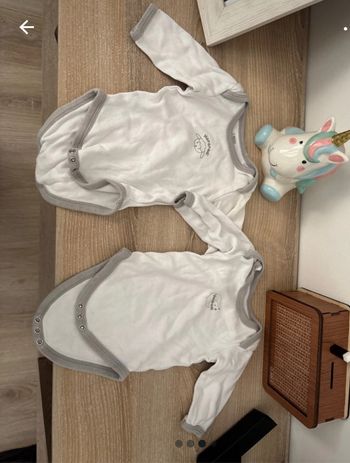 Lot bodies