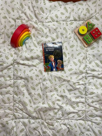 livre le petit Prince la planète du temps tome 1