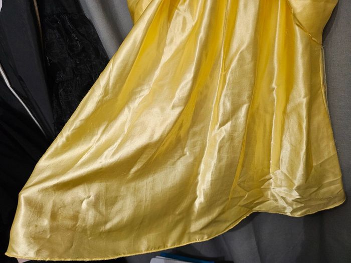 Deguisement belle disney - photo numéro 14