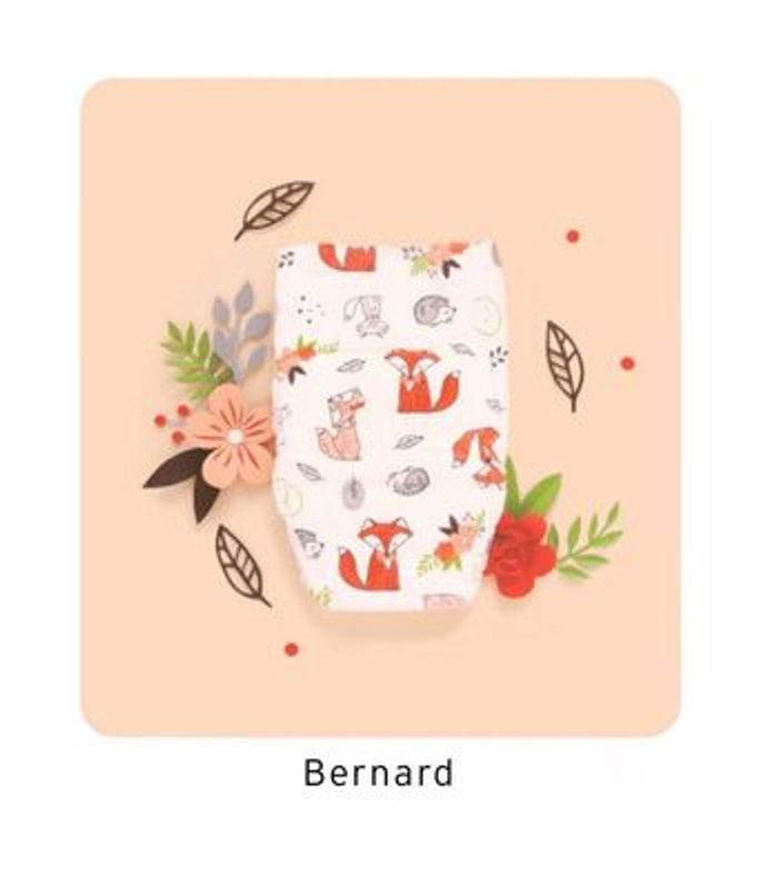 Joone « Bernard » T6 x38 - photo numéro 2