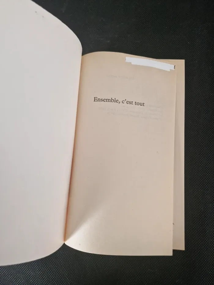Ensemble c'est tout - Anna Gavalda - photo numéro 3