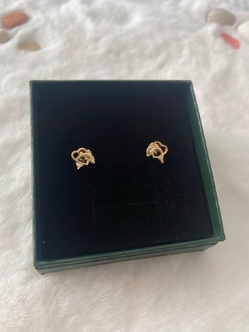 Boucles d’oreilles cœur / dauphin