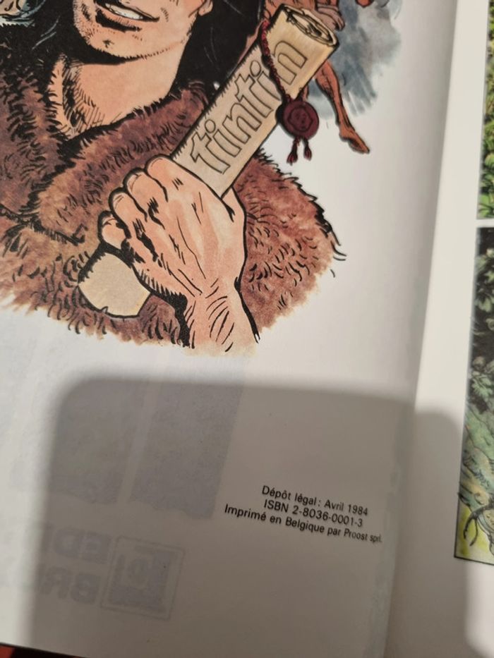 lot de Bd Thorgal Jean Van Hame et grzegorz Rosinski - photo numéro 7