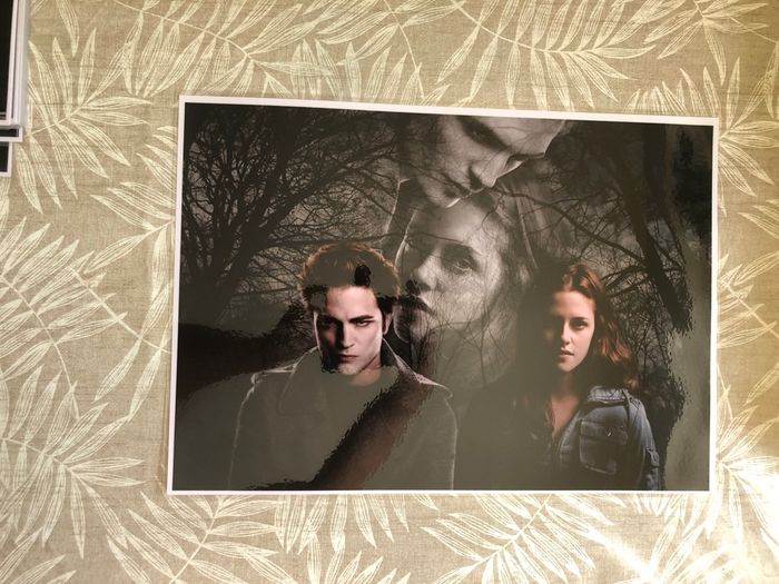Lot affiches twilight - photo numéro 4