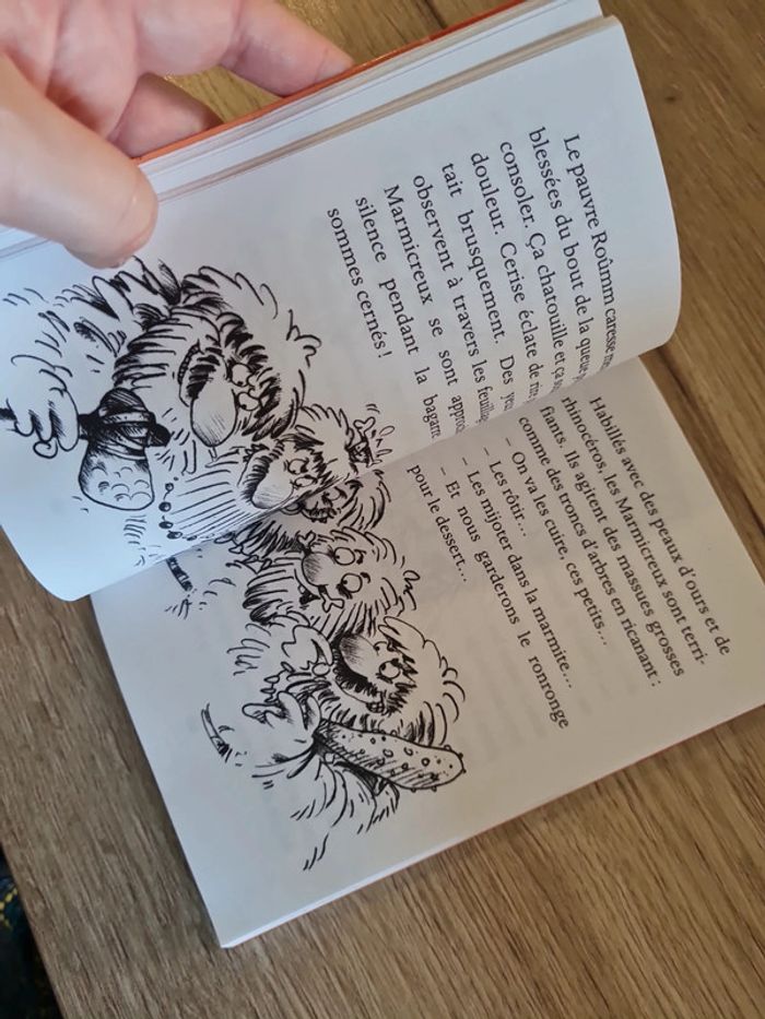 Livre Petit Féroce n'a peur de rien - photo numéro 3