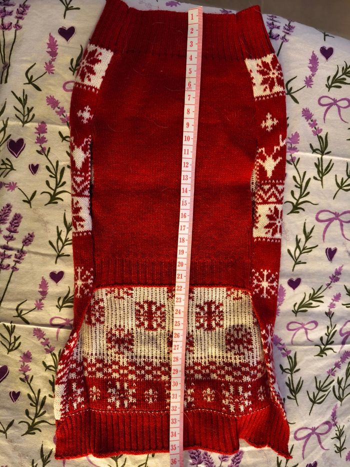 Pull fin chien - photo numéro 3