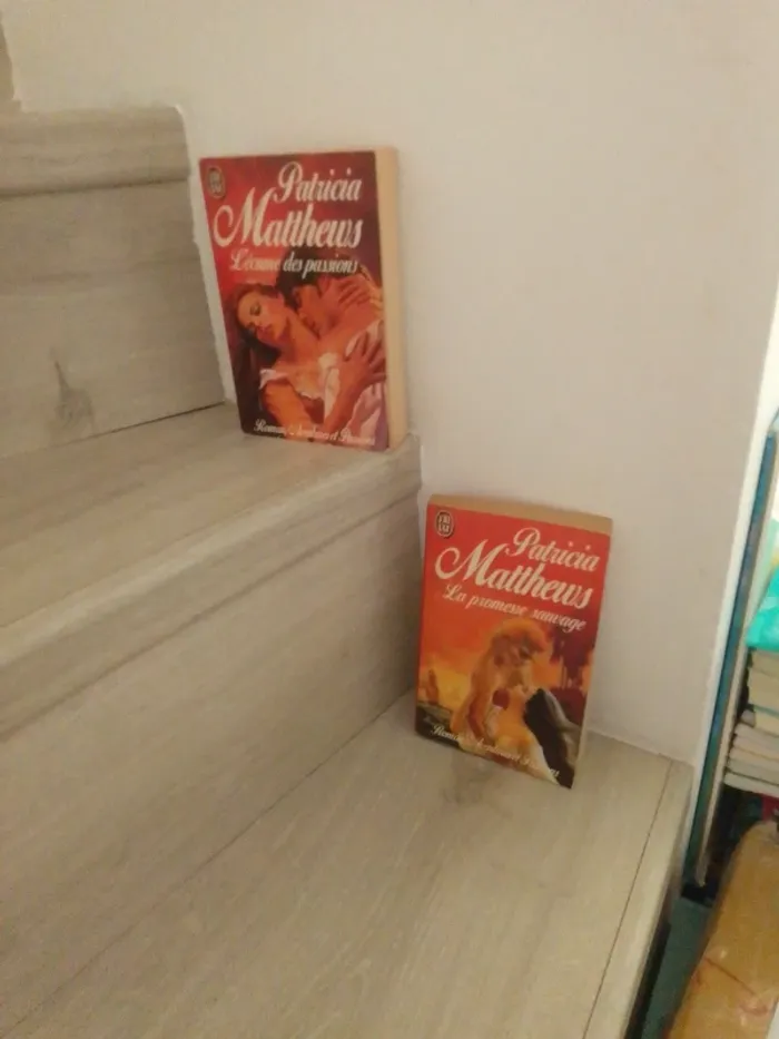 2 romans de Patricia matthews - photo numéro 3