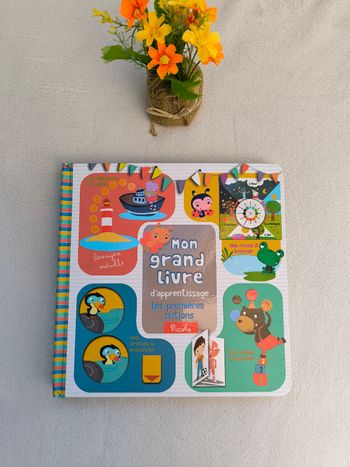Mon grand livre d'apprentissage Piccolia