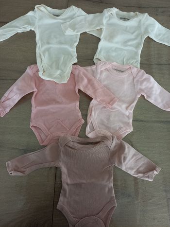 Lot de 5 bodys