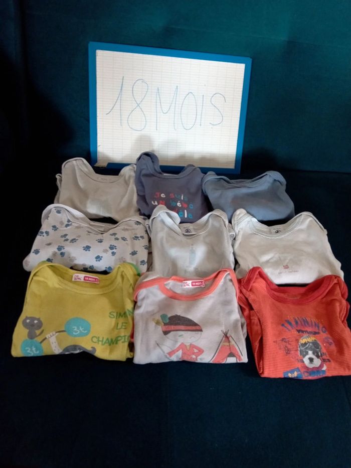 Lot 9 bodys bébé 18mois