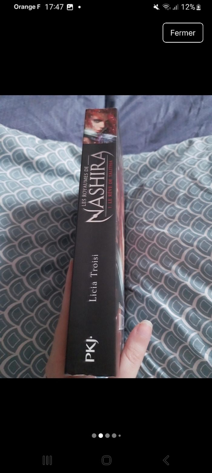 Roman Les Royaumes de Nashira tome 1 Licia Troisi - photo numéro 2