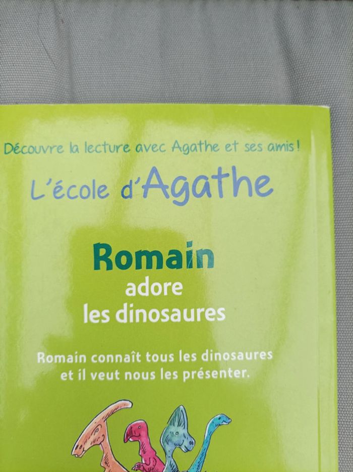 Livre d'aventures pour jeunes lecteurs dinosaures - photo numéro 2