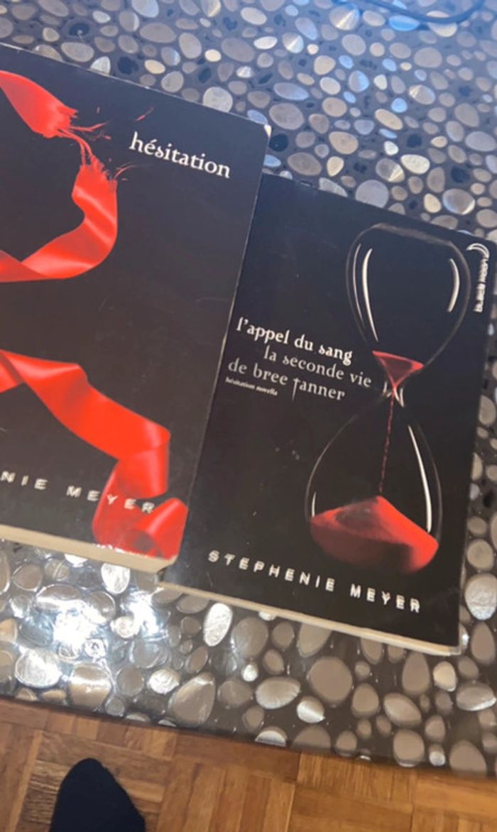 Livre twilight - photo numéro 4