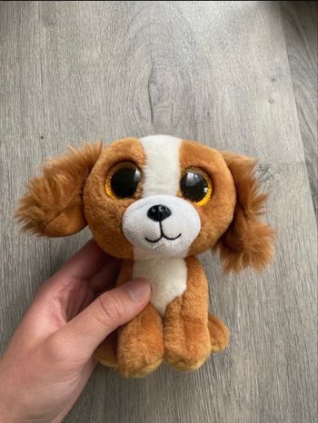 Peluche TY / doudou chien cavalier King Charles 