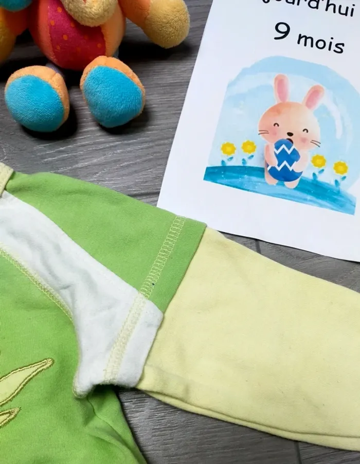 Grenouillère singe verte bébé garçon 9 mois In Extenso - photo numéro 4