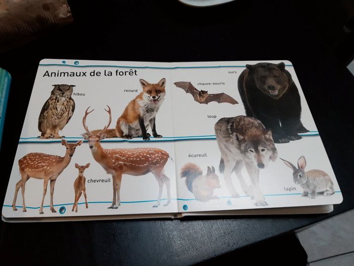 Livre animaux - regarde et apprends - photo numéro 3