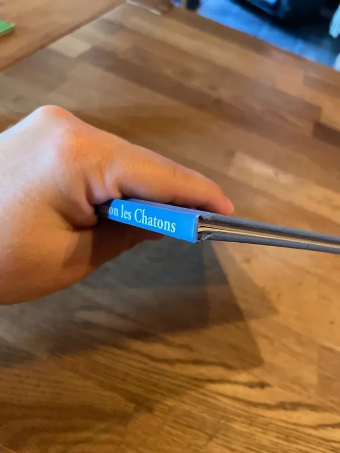 Livre Les Drôle de petites bête Numéro 45 Marion et Simon les chatons - photo numéro 8