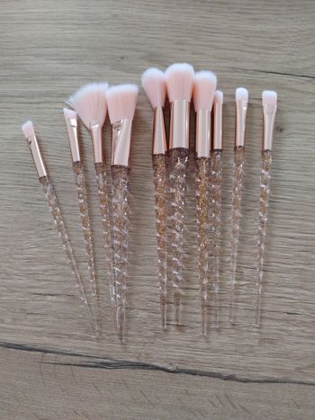 Lot de 10 pînceaux