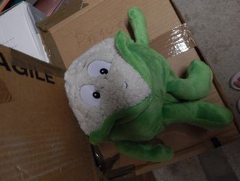 peluche choux fleur