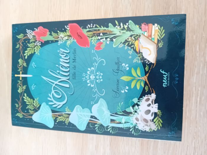 Aliénor fille de Merlin Partie 1 dès 9 ans - Neuf