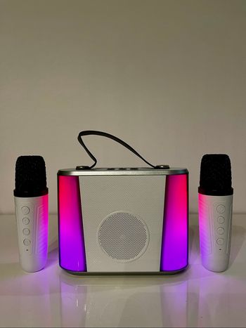 Karaoké avec 2 micros