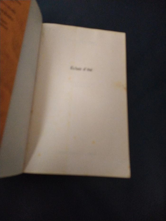 Éclair d'été de Tamara McKinley - photo numéro 8