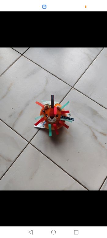 Jack balle lion lilliputiens