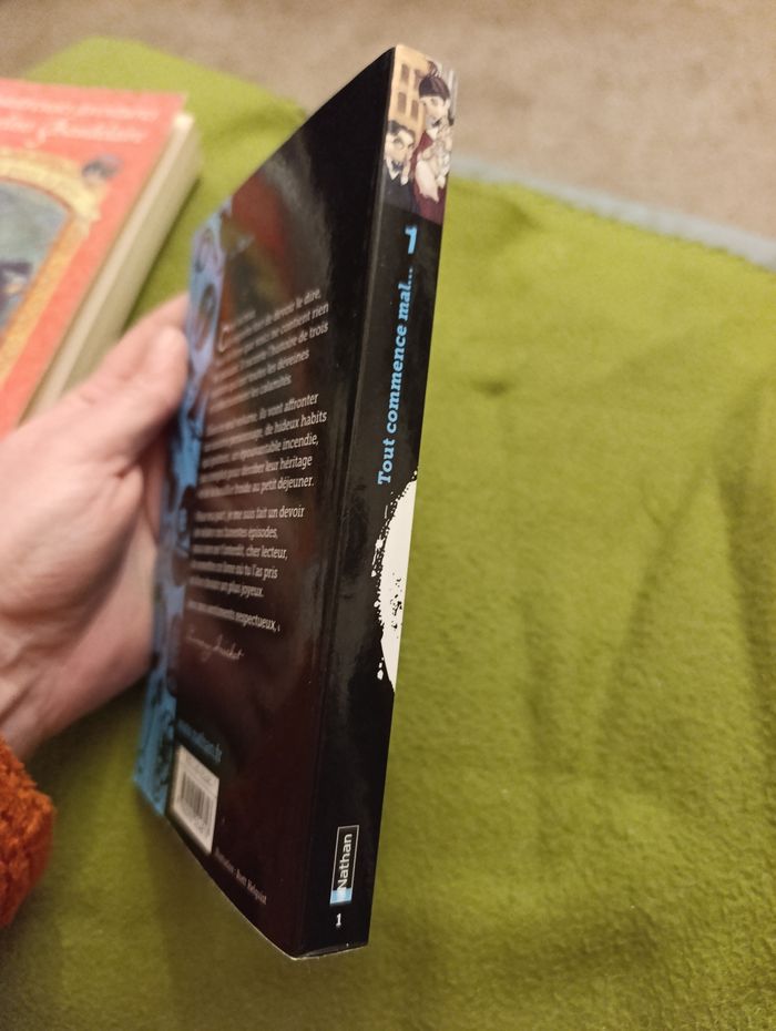 Les Désastreuses Aventures des Orphelins Baudelaire – Tome 1 - photo numéro 3
