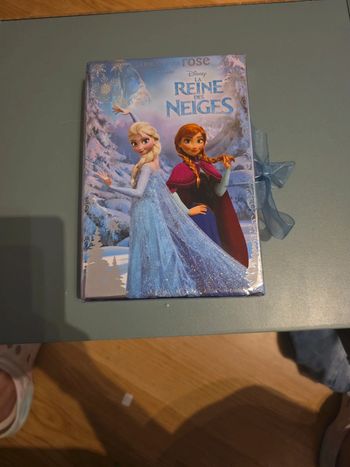 Livre reine des neiges