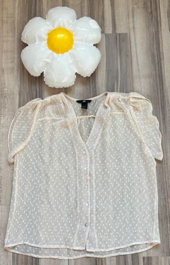 Chemise transparente