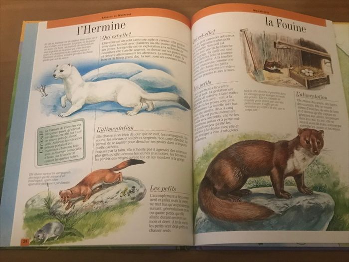 Les animaux des montagnes d’Europe Monde Nature 8 ans NEUF - photo numéro 2