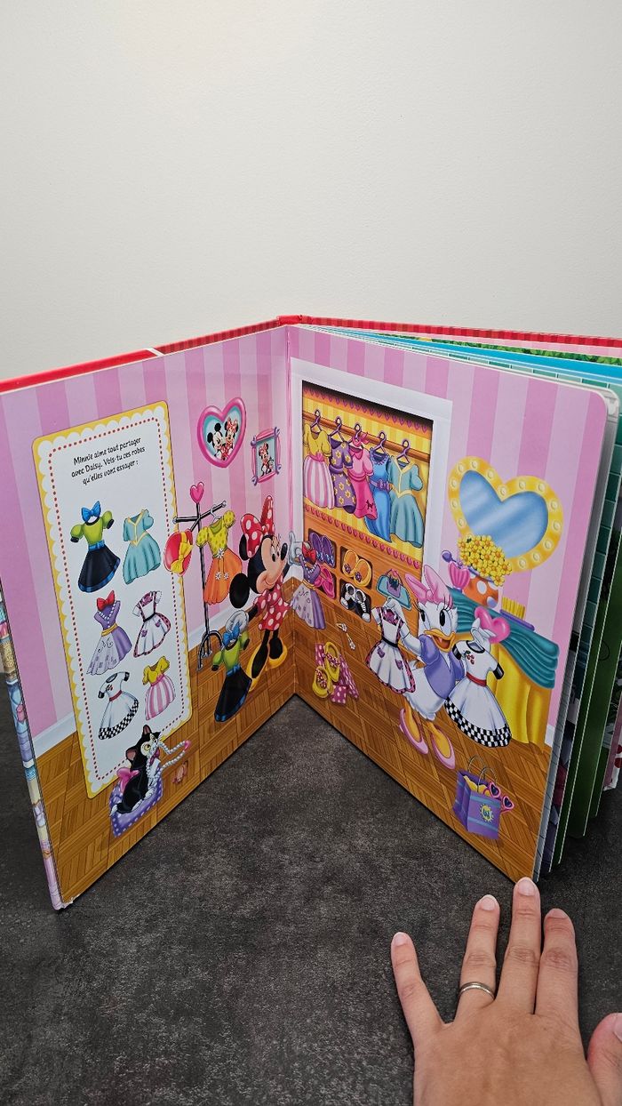 Grand livre 📙 Minnie - photo numéro 3