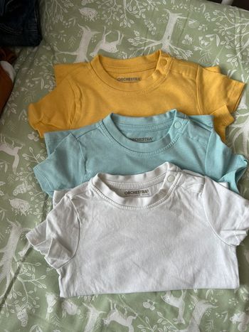 Lot de t-shirt manches courtes