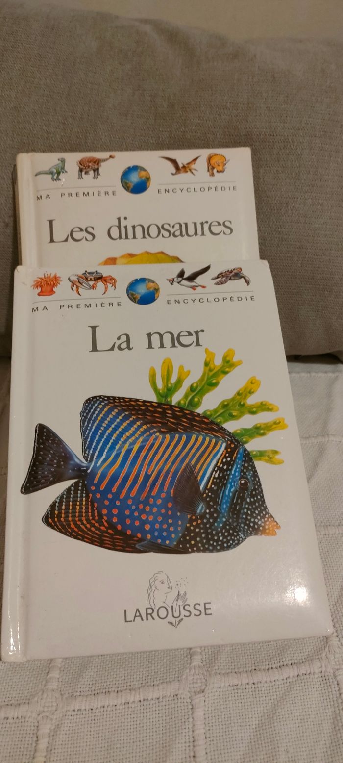 Lot Encyclopédie enfants