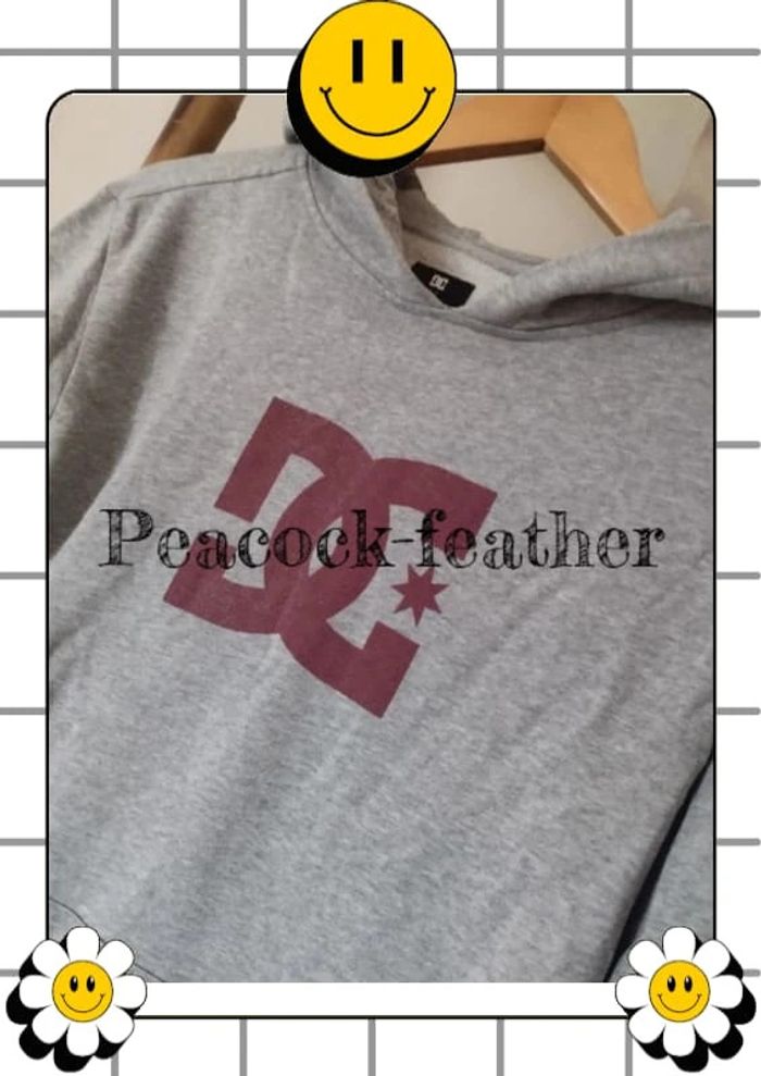 Sweat gris DC 14ans /S - photo numéro 3