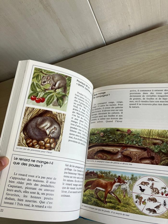 Livre enfant "Le monde étonnant des animaux – 300 questions/réponses - photo numéro 5