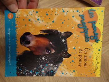 Livre les poneys magiques un amour de poney