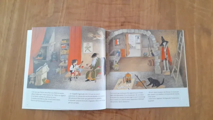 Lot 3 livre Ecole des loisirs Animax - photo numéro 4